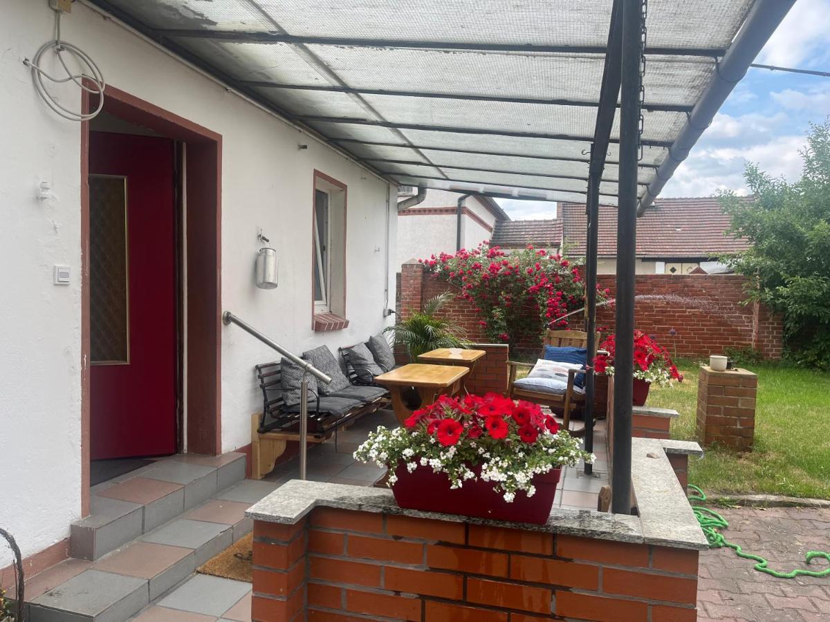 Kahnstuebchen Mit Neuem Innenhof Garten Lübben Eksteriør billede